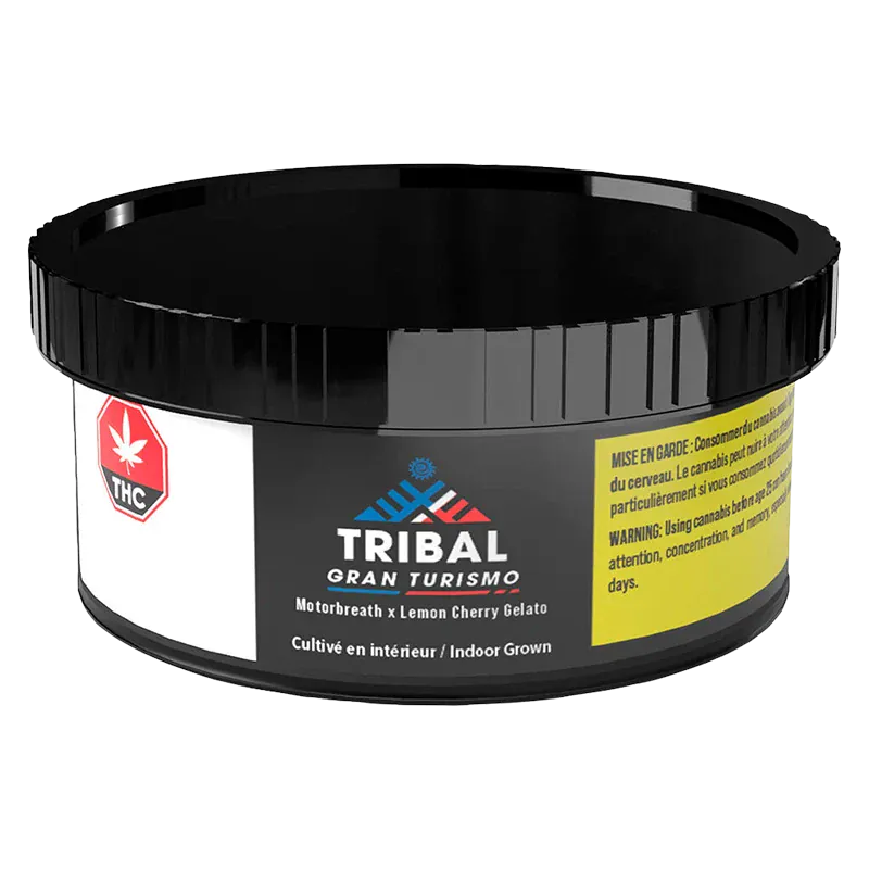 Angled front view of the black Tribal Gran Turismo container with its logo, THC badge, and yellow warning label visible.