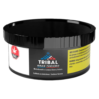 Angled front view of the black Tribal Gran Turismo container with its logo, THC badge, and yellow warning label visible.