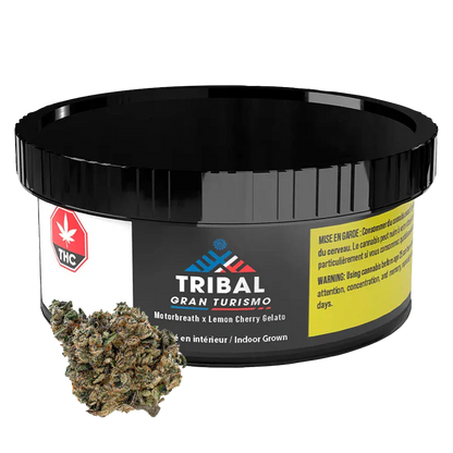 Three-quarter view of a black plastic jar labeled Tribal Gran Turismo with a loose cannabis bud resting against its front.