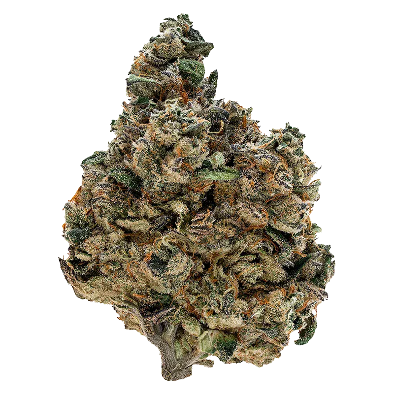 Close-up top-down view of a frosty, green-and-orange cannabis bud labeled Gran Turismo, isolated on a white background.
