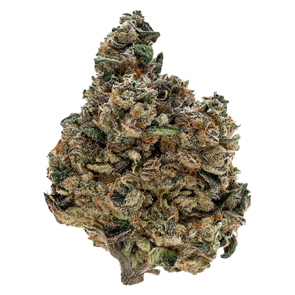 Close-up top-down view of a frosty, green-and-orange cannabis bud labeled Gran Turismo, isolated on a white background.