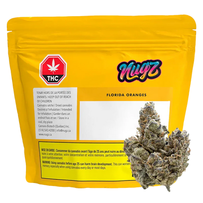 Front-facing shot of a yellow resealable pouch labeled "Nugz Florida Oranges" with a THC symbol and a cannabis bud pictured at the lower right.