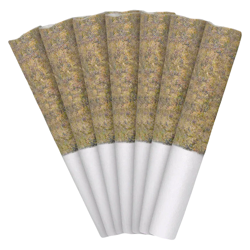 Top-down fan arrangement of seven pre-rolled cones labeled Florida Oranges PR 7 x 0.5 g, showing the textured orange-brown fill and white paper bases.