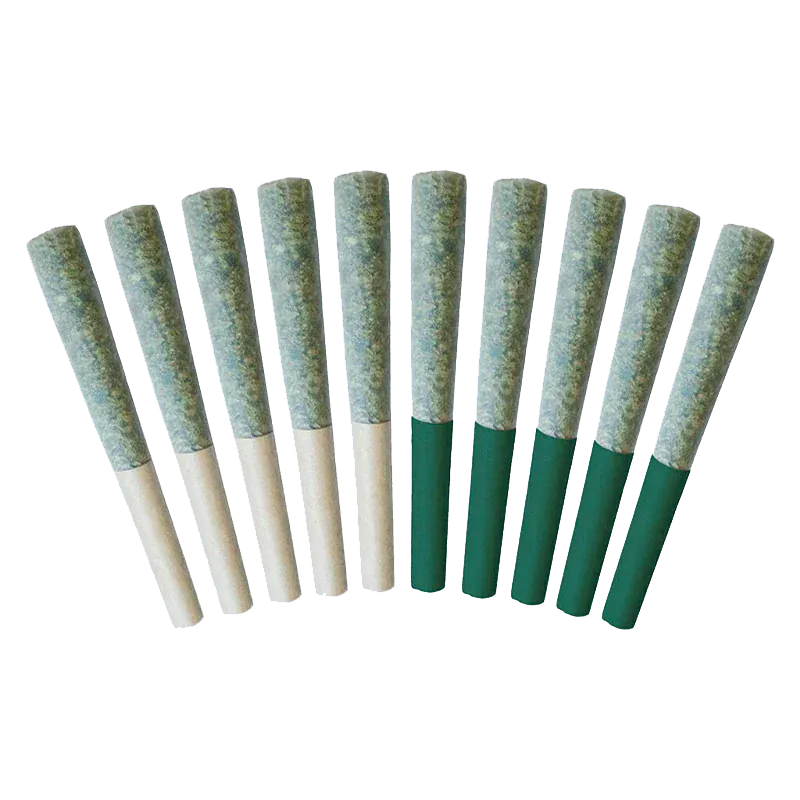 Row of ten pre-rolled cones in alternating white and green tips displayed from a top-front angle, West Coast Classics Duo Pack PR 10 x 0.5 g
