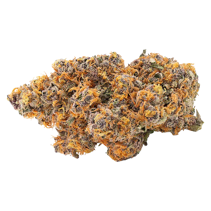 Close-up top view of the Atomic Slurricane cannabis bud showing dense purple-green florets dusted with white trichomes and bright orange pistils.