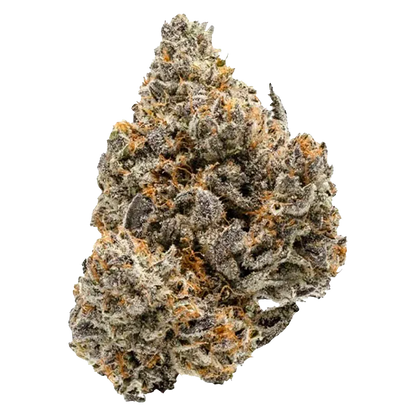Close-up front view of a frosty BC Organic Lemolada cannabis bud showing dense purple-green nugs with orange hairs on a white background