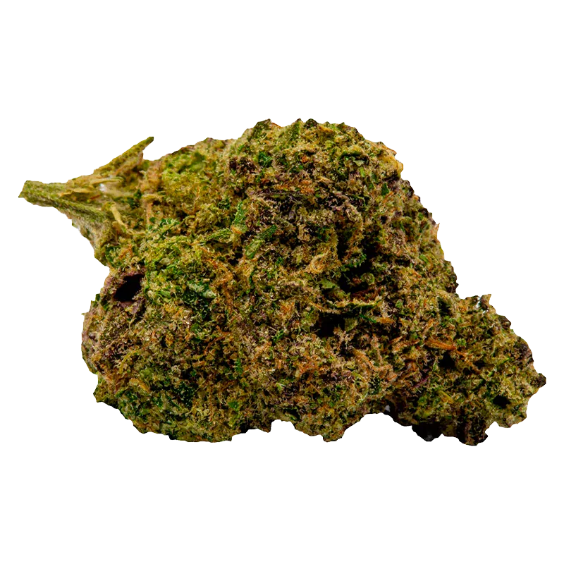 Close-up front view of a single U15 Black Cherry Soda Sativa 7 g - Unit 15 cannabis bud showing green and purple hues and orange pistils.