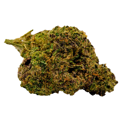 Close-up front view of a single U15 Black Cherry Soda Sativa 7 g - Unit 15 cannabis bud showing green and purple hues and orange pistils.