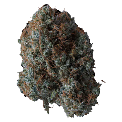 Supernova Farms 3.5 g B!tch Slap Flower