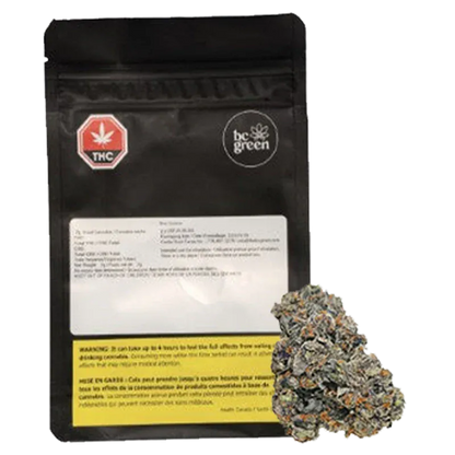 Front-facing shot of a black pouch and bud labeled Blue Cookies, the 7 g pack showing a white label, THC symbol, and a textured purple-green cannabis nug in front.