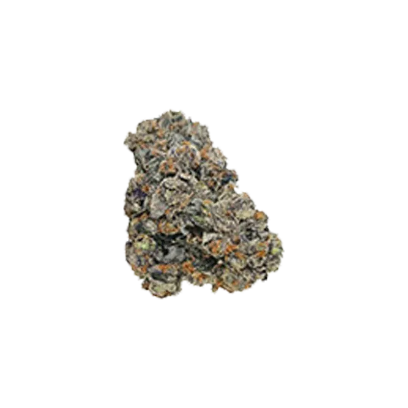 Close-up of a single "Blue Cookies" bud showing frosty trichomes and orange pistils against a white background