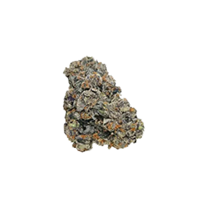 Close-up of a single "Blue Cookies" bud showing frosty trichomes and orange pistils against a white background