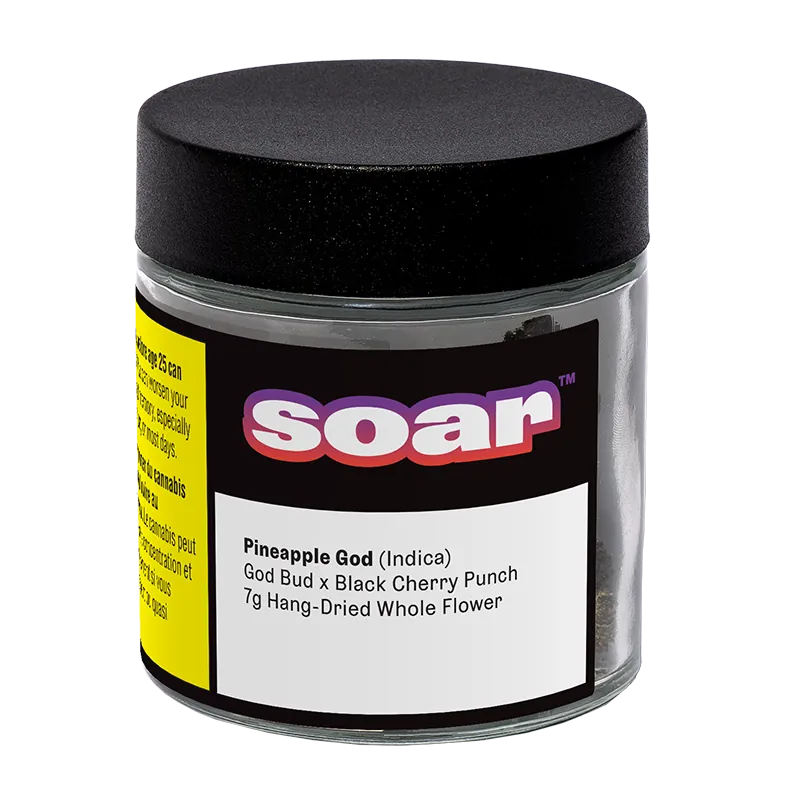 Front three-quarter view of the clear jar labeled "Pineapple God" with a black lid and bold "soar" logo on a white background.