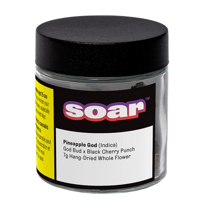 Front three-quarter view of the clear jar labeled "Pineapple God" with a black lid and bold "soar" logo on a white background.