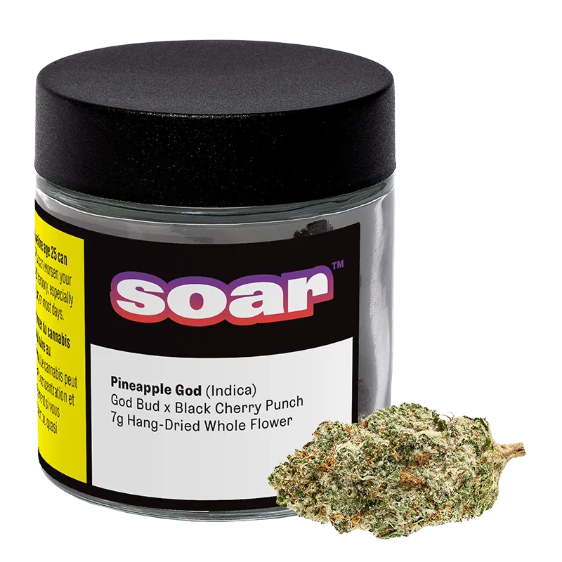 Front three-quarter view of a glass jar labeled "soar Pineapple God" with a black lid and a single green, orange-speckled bud in front.