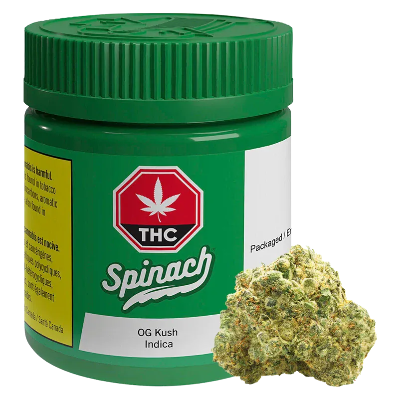 Front-facing jar labeled "Spinach OG Kush" in white script on green packaging with a close-up cannabis bud at the base.
