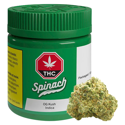 Front-facing jar labeled "Spinach OG Kush" in white script on green packaging with a close-up cannabis bud at the base.