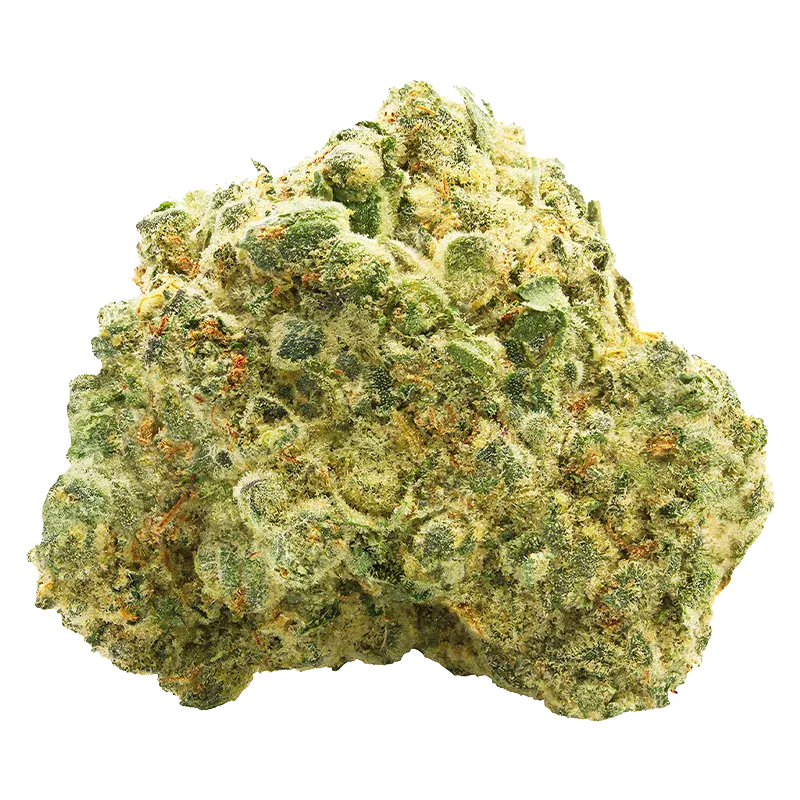 Close-up front view of a frosty, green OG Kush bud showing dense trichomes and orange pistils against a white background.