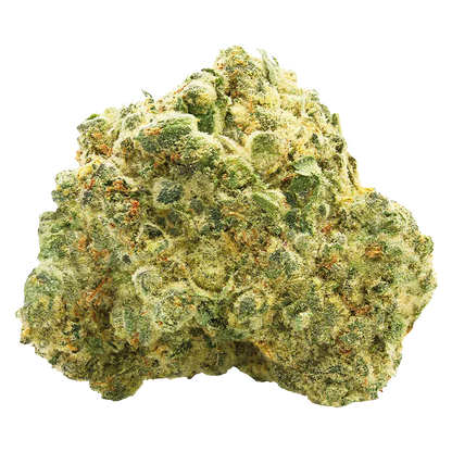 Close-up front view of a frosty, green OG Kush bud showing dense trichomes and orange pistils against a white background.