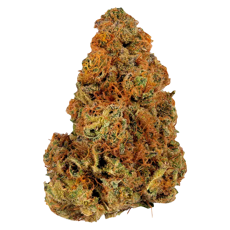 Close-up front view of a single dense Indica bud showing green leaves, abundant orange pistils, and frosty trichomes against a white background.