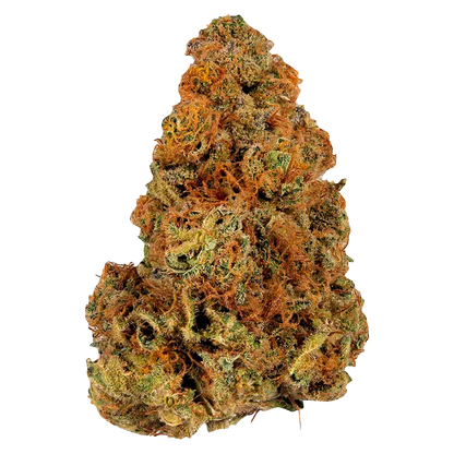 Close-up front view of a single dense Indica bud showing green leaves, abundant orange pistils, and frosty trichomes against a white background.