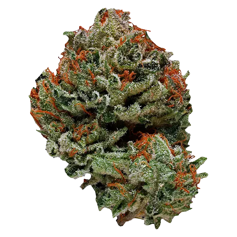 Ripped 28 g Sativa Flower