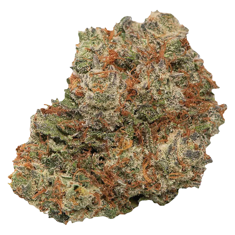Dom Jackson 7 g Mary-Go-Round Flower