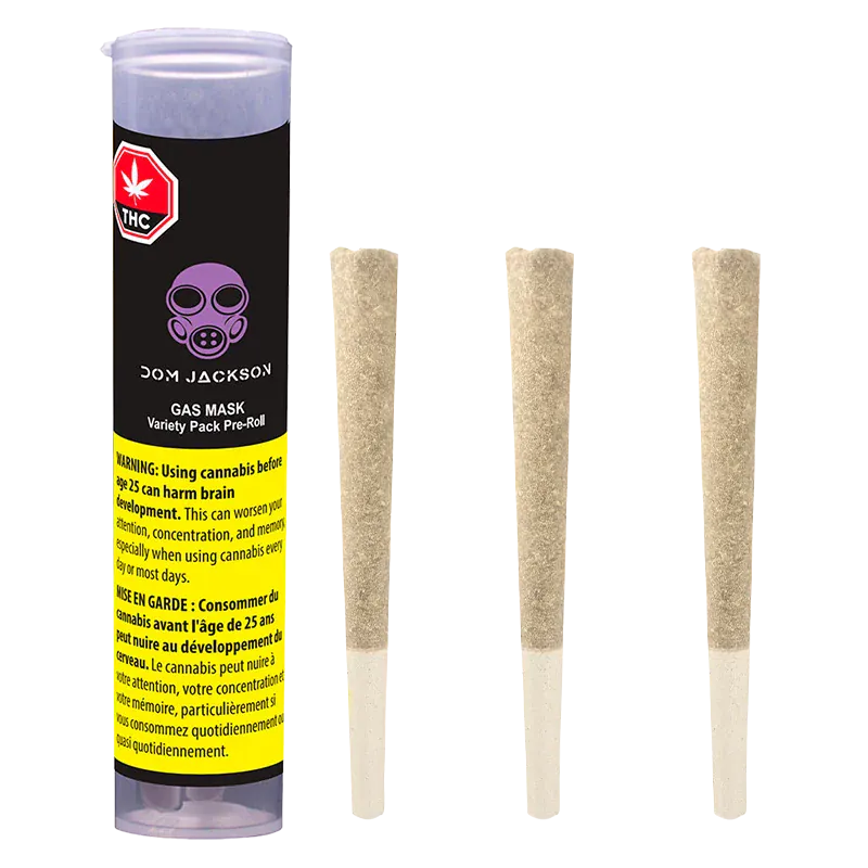 Left-side front view of the Dom Jackson Gas Mask Variety Pack PR 3 x 0.5 g tube with three pre-rolls standing upright to its right.