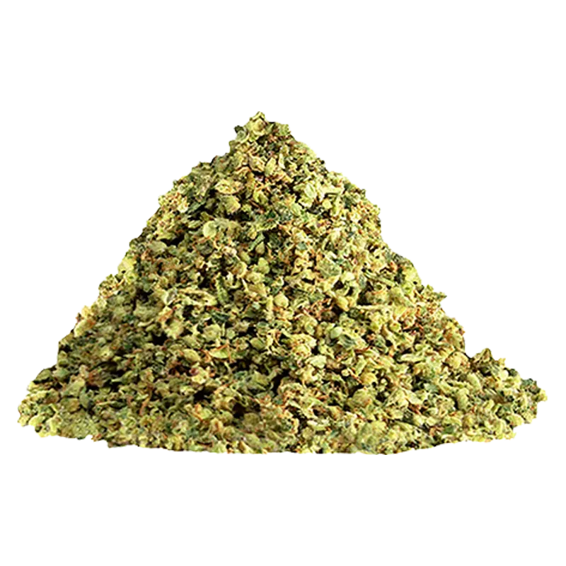 Piled heap of loose green flower labeled BC Organic Sungrown Night Train shown from a low front angle against a white background