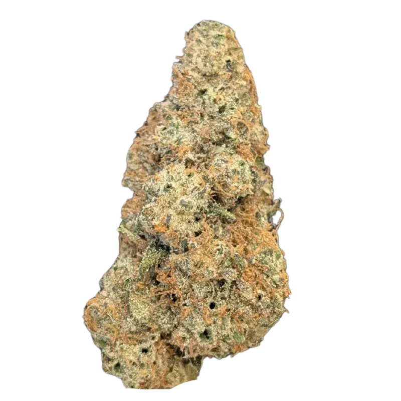 Close-up front view of a single BC Organic Lemolada cannabis bud showing frosty trichomes and orange hairs against a white background.