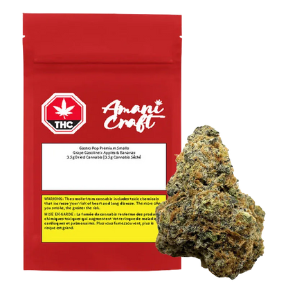 Front view of a red pouch and a single nug, showing the Gastro Pop Premium Smalls pouch beside a close-up cannabis bud.