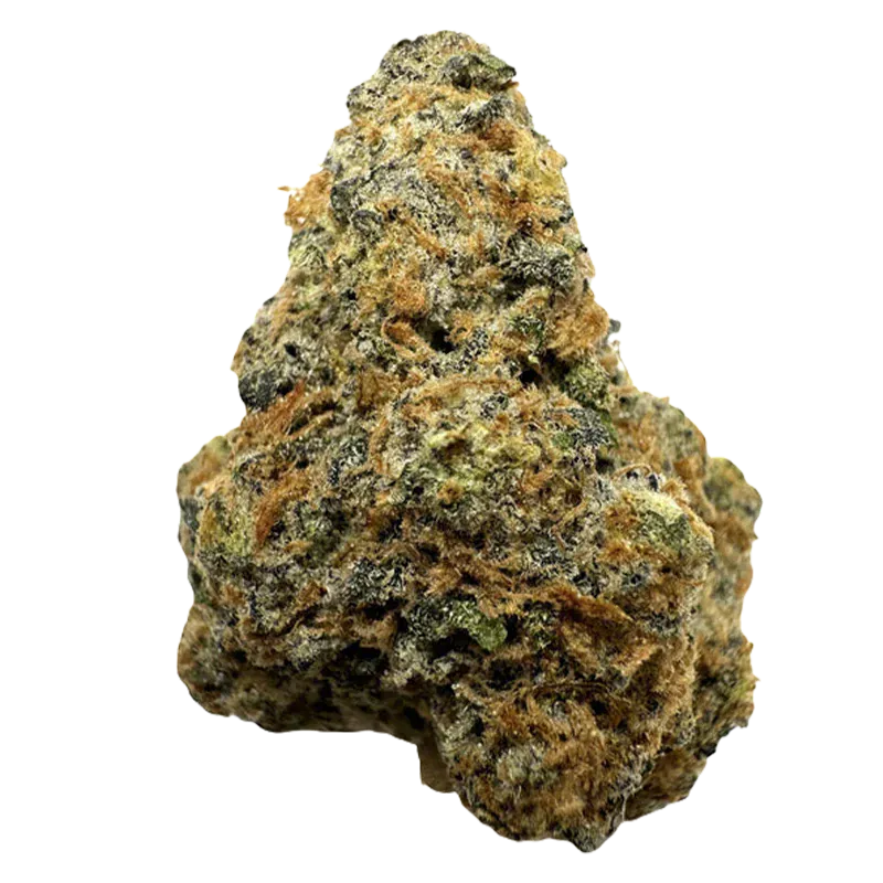 Close-up front view of a single nugget of Gastro Pop Premium Smalls showing green and amber hairs and frosty trichomes.