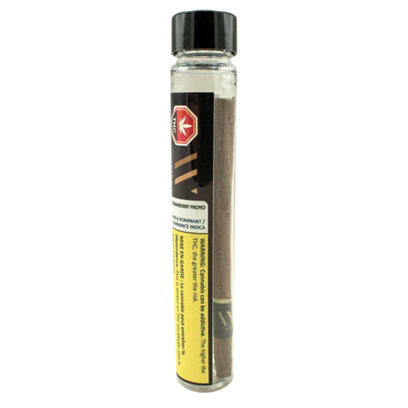 Tall front-facing clear tube showing a single brown pre-rolled joint labeled Strawberry Froyo Blunt PR 1 x 1 g against a white background