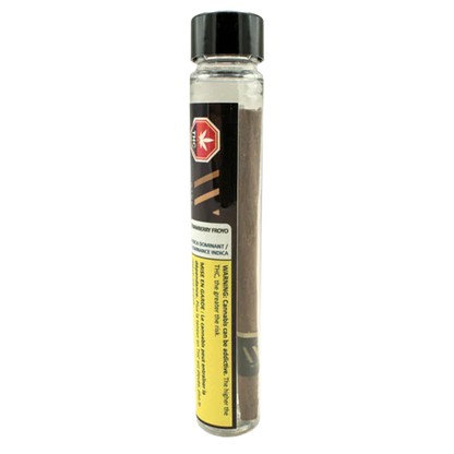 Tall front-facing clear tube showing a single brown pre-rolled joint labeled Strawberry Froyo Blunt PR 1 x 1 g against a white background