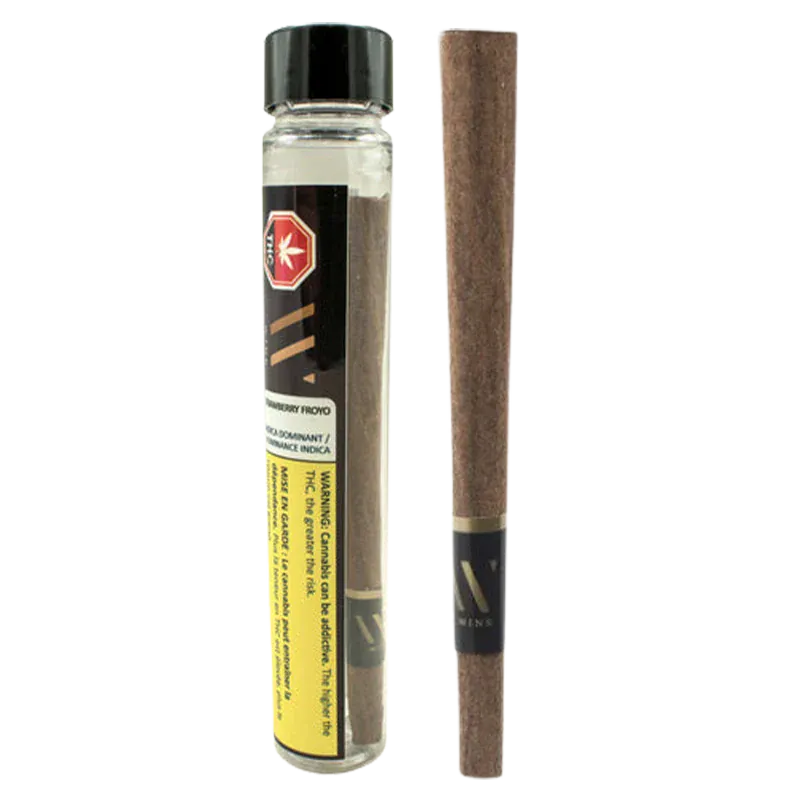 Front-facing view of a Strawberry Froyo Blunt PR 1 x 1 g and its clear cylindrical tube on a white background, showing the brown rolled blunt and yellow warning label.