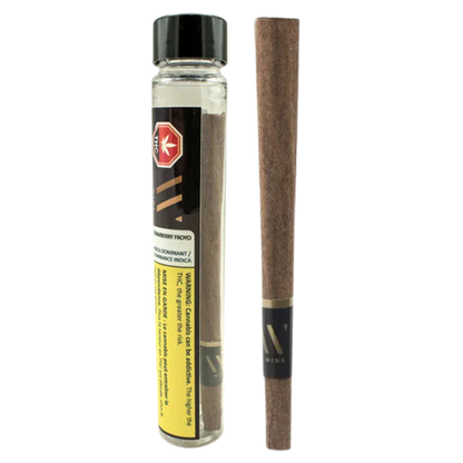 Front-facing view of a Strawberry Froyo Blunt PR 1 x 1 g and its clear cylindrical tube on a white background, showing the brown rolled blunt and yellow warning label.