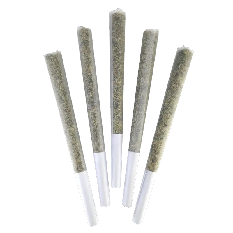 DEALR 2.5 g French Beignet PR 5 x 0.5 g Joints