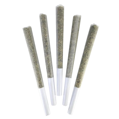 DEALR 2.5 g French Beignet PR 5 x 0.5 g Joints
