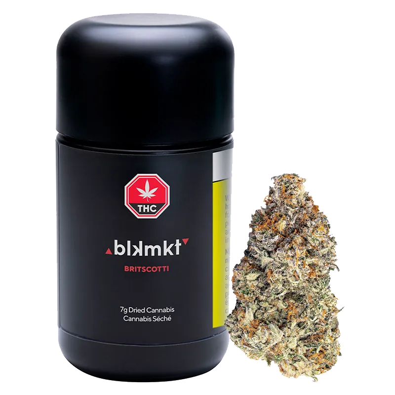 Front-facing shot of the Britscotti container and a single frosty cannabis bud, the black Britscotti tub standing left of the detailed nug.