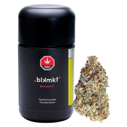 Front-facing shot of the Britscotti container and a single frosty cannabis bud, the black Britscotti tub standing left of the detailed nug.