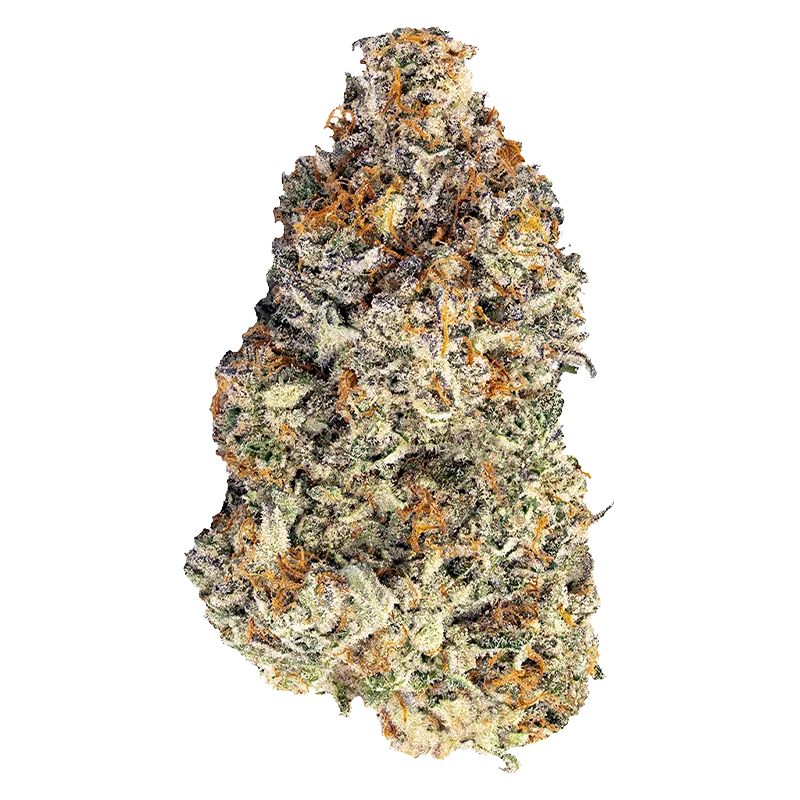 Close-up of a frosty, orange-pistil cannabis bud photographed against white background featuring the Britscotti.