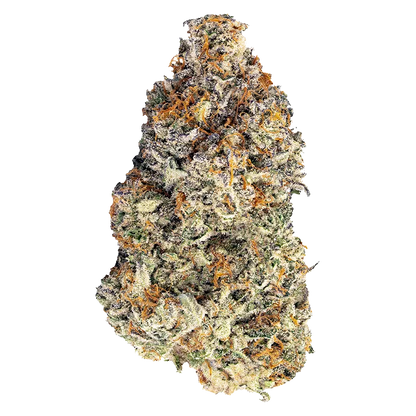 Close-up of a frosty, orange-pistil cannabis bud photographed against white background featuring the Britscotti.