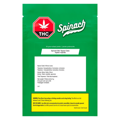 Front-facing shot of the green packaging labeled "STIX Space Cake PR 10 x 0.4 g" with a red THC stop sign and white Spinach logo above product information.