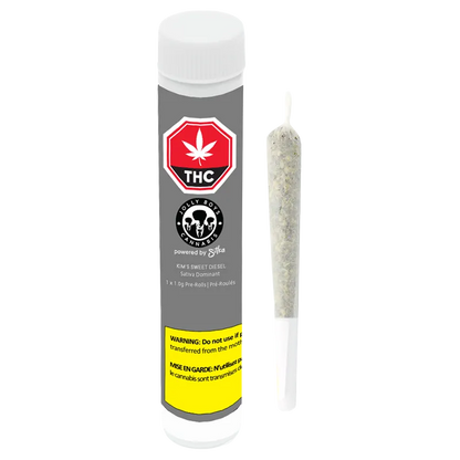 Vertical front view of a clear tube and a single pre-roll standing beside it labeled Kim's Sweet Diesel PR 1 x 1 g.