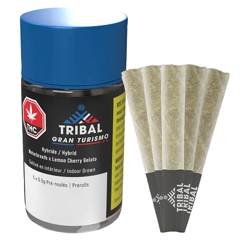 Three-quarter front view of the Gran Turismo PR 5 x 0.5 g jar with blue lid beside five fanned pre-rolls showing their paper tips and textured ground herb.