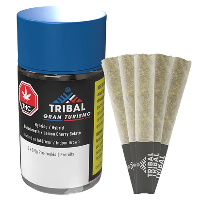 Three-quarter front view of the Gran Turismo PR 5 x 0.5 g jar with blue lid beside five fanned pre-rolls showing their paper tips and textured ground herb.