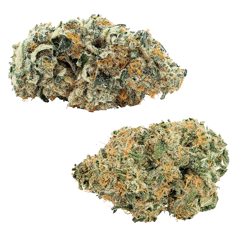 Top-down photo of two dense, frosty buds of Comboz Purplecherry showing green leaves and orange hairs on a white background