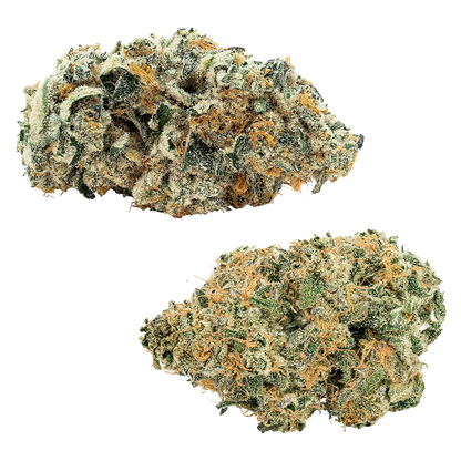Top-down photo of two dense, frosty buds of Comboz Purplecherry showing green leaves and orange hairs on a white background