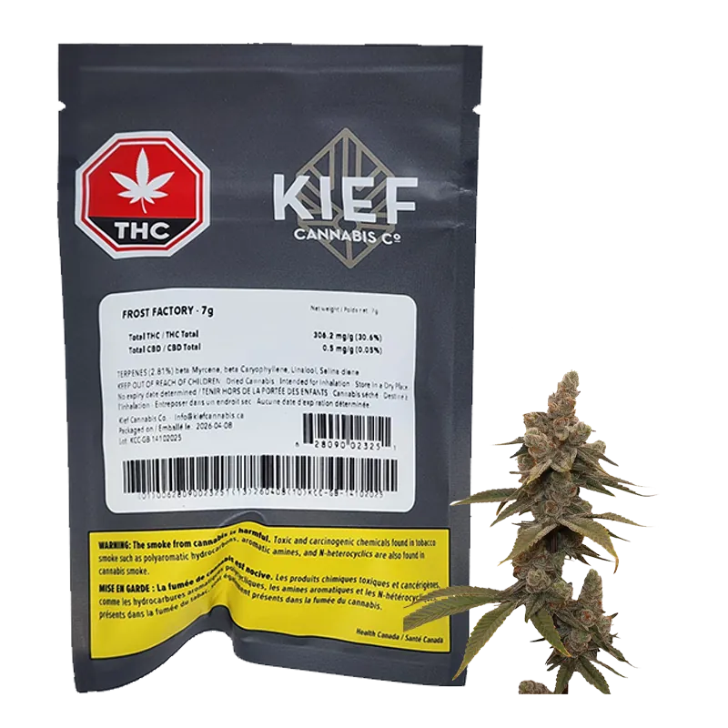 Front view of the Frost Factory 7g black Kief Cannabis Co. pouch with a labeled panel and a cannabis bud beside it.