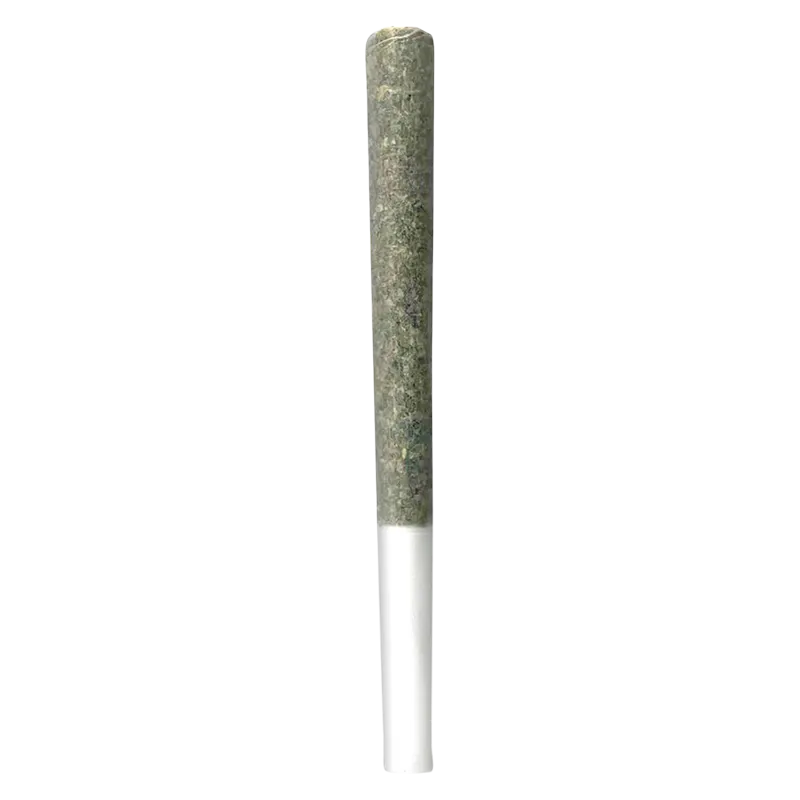 Vertical close-up of a single rolled cigarette against white background showing the green herb fill and paper tip, labeled Dragon Cookies PR 10 x 0.5 g